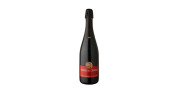 Terras do Condado Bruto Sparkling Red Wine