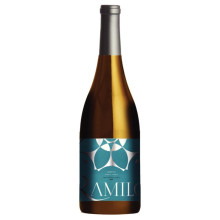 Vino bianco Casal do Ramilo Arinto