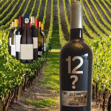 Vinos de Dão - Selección de Febrero