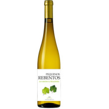 Pequeños Rebentos Alvarinho Trajadura 2022 Vino Blanco