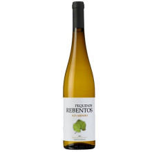 Bílé víno Pequenos Rebentos Alvarinho