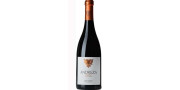 Andreza Reserva 2020 Vino Tinto