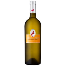 Quinta dos Abibes Sauvignon Blanc 2016 White Wine