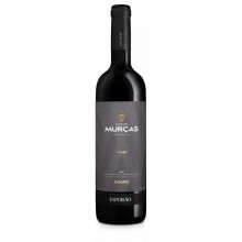 Murças VV 47 2012 punaviini