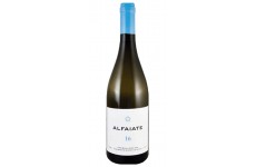 Alfaiate 2017 White Wine