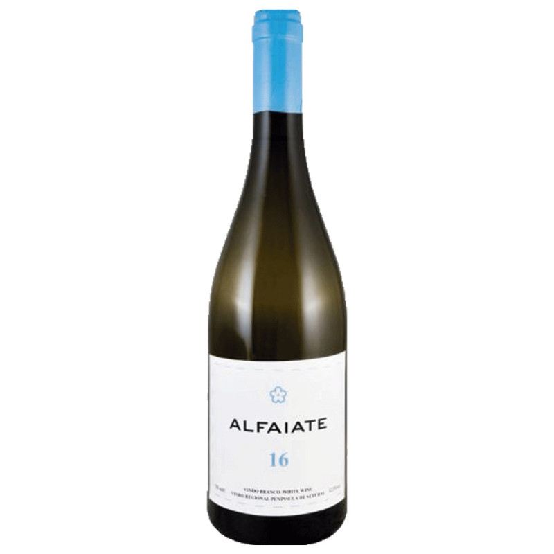 Alfaiate 2017 valkoviini