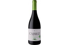 Cabriz Organic 2013 Red Wine