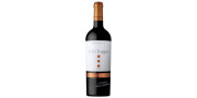 Tres Bagos Grande Escolha Estágio Prolongado 2005 punaviini