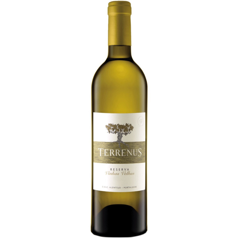 Terrenus Reserva 2016 White Wine