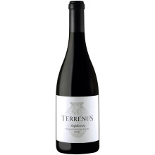 Terrenus Vinha da Ammaia Amphorae Red Wine