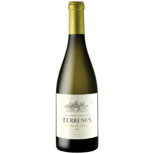 Terrenus Vinha da Serra 2016 Witte Wijn