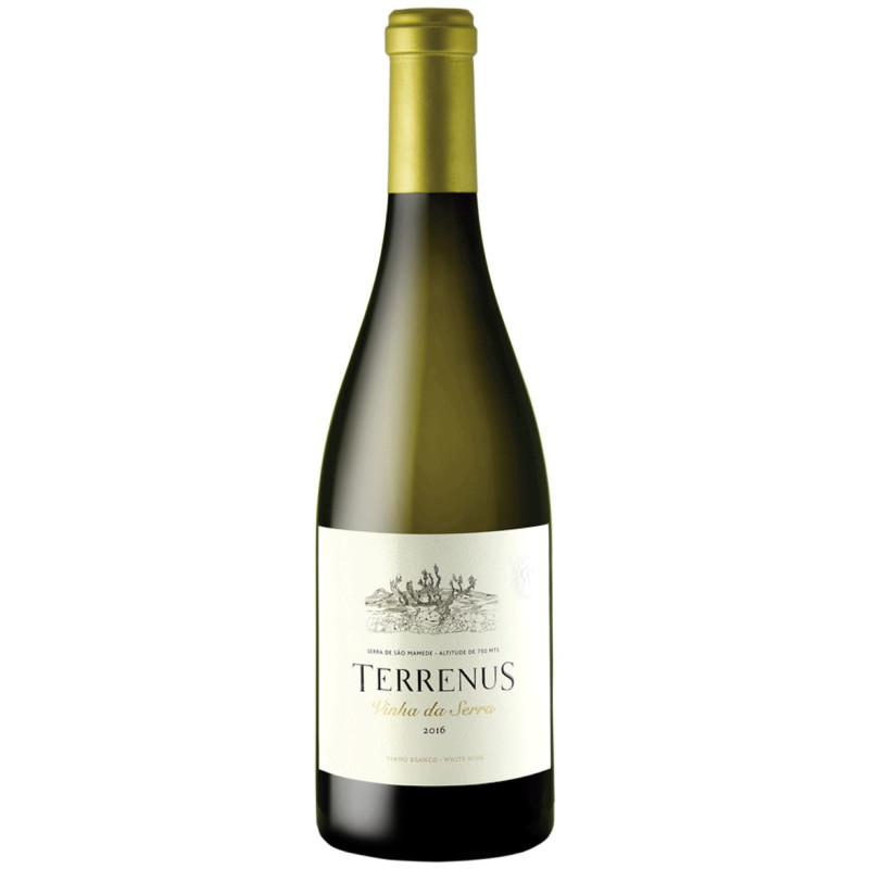 Terrenus Vinha da Serra 2016 Witte Wijn Terrenus Vinha da Serra 2016 Witte Wijn