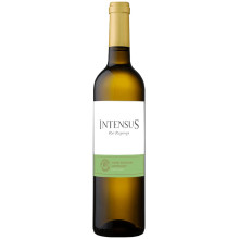 Intensus 2017 Vino Bianco
