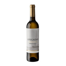 Apegadas Premium 2015 -valkoviini