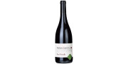 Pedra Cancela Eco Friendly Red Wine