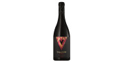 Vallegre Reserva 2012Vino rosso