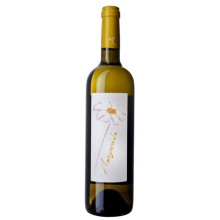 Margarida 2012 Vino Bianco