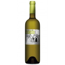 Aventura 2016 White Wine