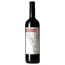 Procura Magnum 2013 Red Wine (1500ml)