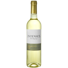 Intensus Reserva 2017 Vino Bianco