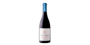Casal Sta. Maria Pinot Noir 2016Vin rouge