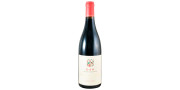Quinta da Pellada 2013 Punainen viini