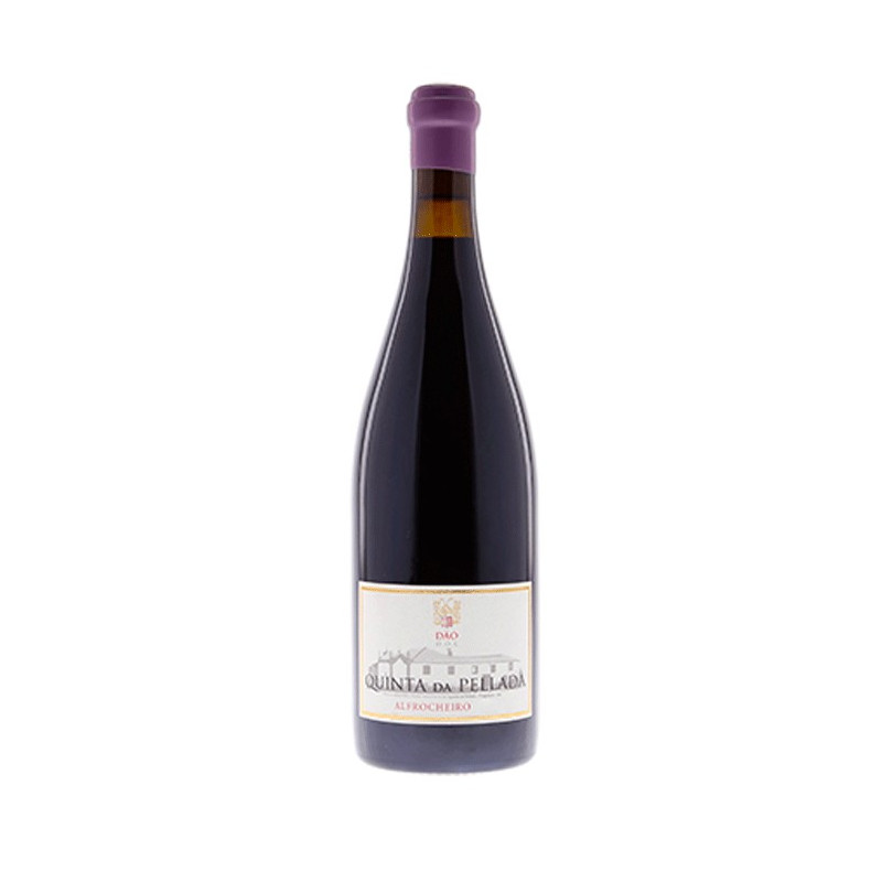 Quinta da Pellada Alfrocheiro 2013Rotwein Quinta da Pellada Alfrocheiro 2013Rotwein