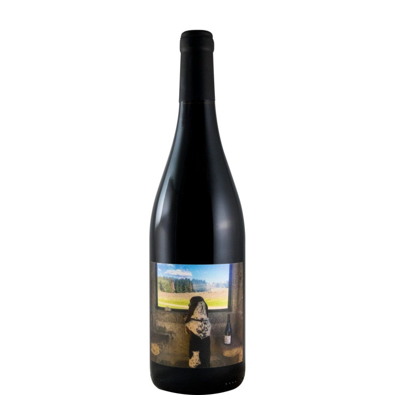 Quinta de Saes Tobias 2016 Vino Rosso