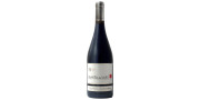 Quinta de Saes Caniças Touriga Nacional 2015 rødvin