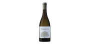 Singelus Avesso 2016 White Wine