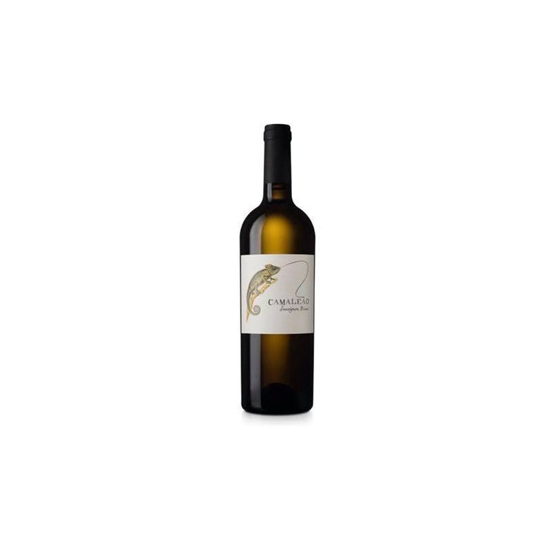 Camaleão Sauvignon Blanc 2016 Witte Wijn Camaleão Sauvignon Blanc 2016 Witte Wijn