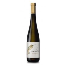 Camaleão Alvarinho 2017 White Wine