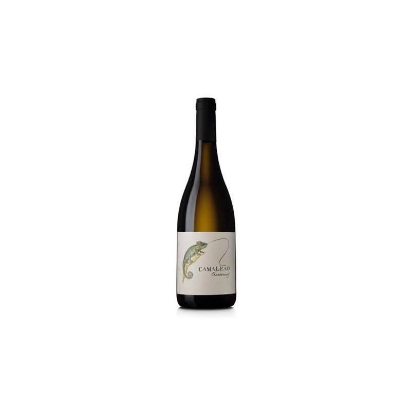 Camaleão Chardonnay 2016 valkoviini Camaleão Chardonnay 2016 valkoviini