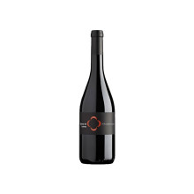 Quinta de Lemos Alfrocheiro 2013Vino rosso