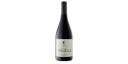 Červené víno Talha de Argilla 2016