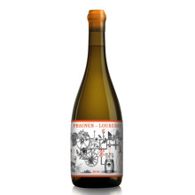 Phaunus Amphora Loureiro 2018 White Wine