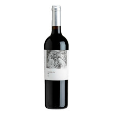 Joaquim Arnaud Arundel 36 2009 Vino Rojo