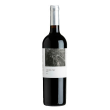 Joaquim Arnaud Arundel T&T 2012Vino rosso