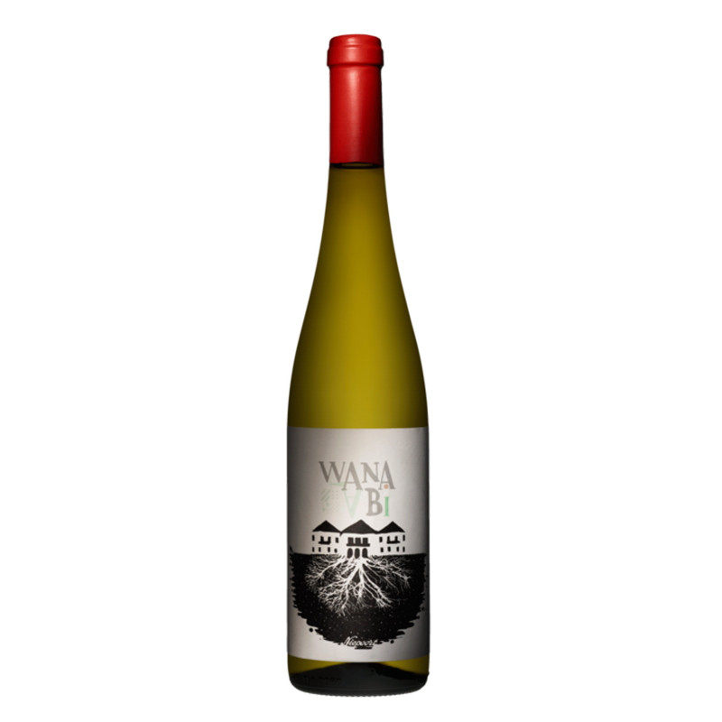 Niepoort Wana Bi Alvarinho 2016 Witte Wijn