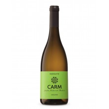 Carm Rabigato 2017 Witte Wijn