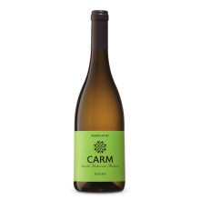 Carm Rabigato 2017 hvidvin