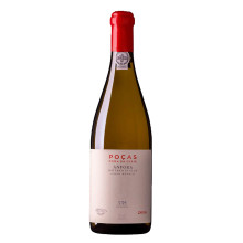 Poças Fora da Serie Anfora 2018 Weißwein