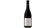 Aneto Pinot Noir 2016 Rode Wijn