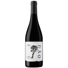 Anselmo Mendes Dão 2015 Red Wine