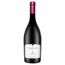 Madre de Água Experimentum Syrah 2016Vin rouge