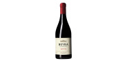 Beyra Pinot Noir 2017 rode wijn