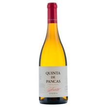Quinta de Pancas Reserva Arinto 2015 hvidvin