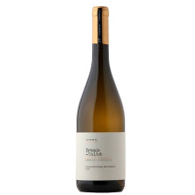 Fitapreta Branco de Talha 2018 Vino Bianco
