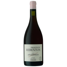Vino Tinto Pequenos Rebentos Atlântico 2018