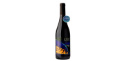 2160 Onde Tudo Nasce 2019 Vino Tinto